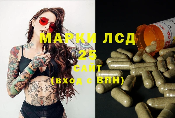 индика Пестово